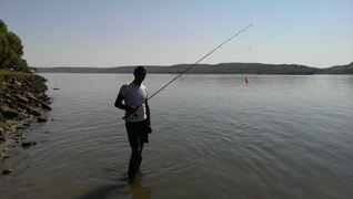 Dunare 2013